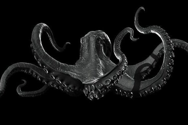 Kraken 11at