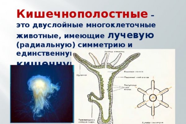 Darknet как войти