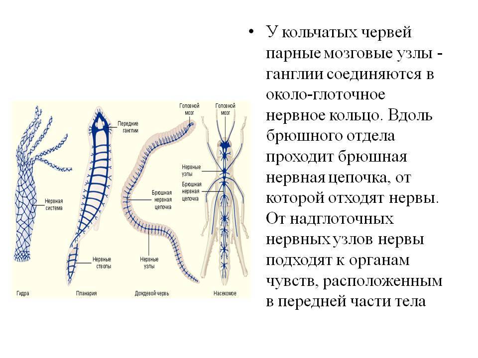 Kraken зеркало тор ссылка